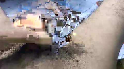 Snapshot of bd_sam_69 chatting on 11-02-25, 09:50 bd_sam_69 online show from 11-02-25, 09:50