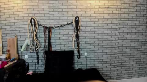 Meduza  online show from 11-14-25, 01:10