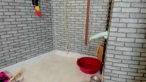 Meduza  online show from 11-17-25, 02:34