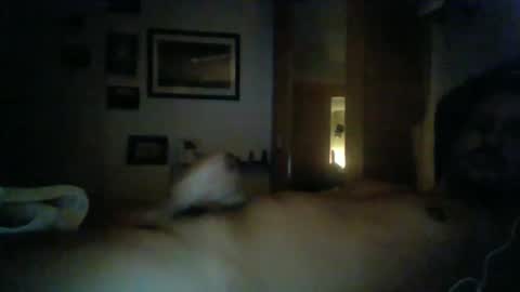 bearboudior online show from 02-16-25, 01:58