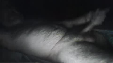 beastiejam2000 online show from 01-31-25, 04:25