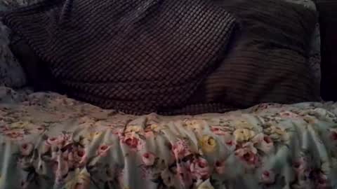 Snapshot of beatlebut chatting on 10-16-25, 03:18 beatlebut online show from 10-16-25, 03:18