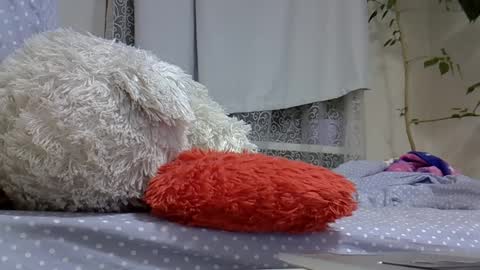 BeatriceTender online show from 03-02-25, 07:45