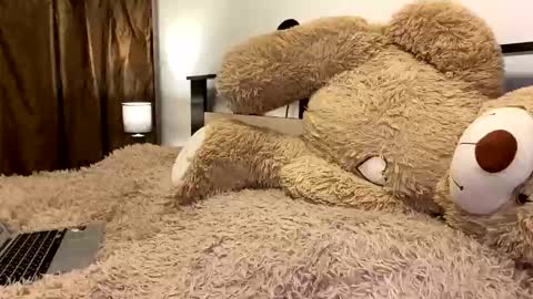 Nik online show from 03-07-26, 07:55