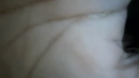 bebosaya93 online show from 12-17-25, 07:25