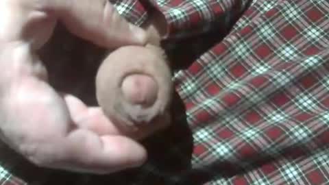  Reservoir Dogs online show from 12-28-24, 12:15