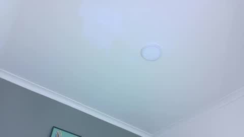 Snapshot of belamiller chatting on 10-28-25, 11:36 BELA online show from 10-28-25, 11:36