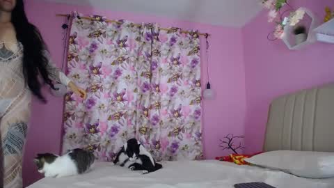 Snapshot of bella_gentle chatting on 12-20-24, 11:43 bella_gentle online show from 12-20-24, 11:43