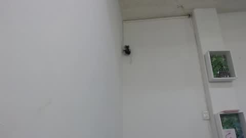 lady online show from 02-09-25, 06:47