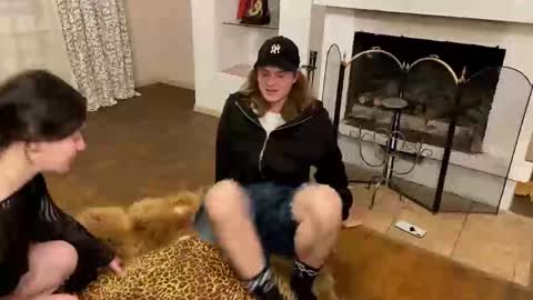 Baila online show from 11-12-25, 09:58