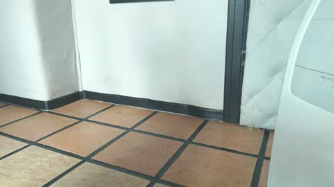 Snapshot of bellapazzia13 chatting on 12-19-24, 01:51    online show from 12-19-24, 01:51