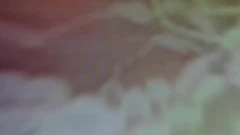 Snapshot of bellaporchxxx chatting on 02-26-25, 02:59 Bella Porch online show from 02-26-25, 02:59