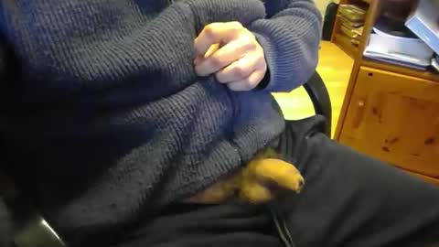 Snapshot of bemichel chatting on 04-21-26, 12:33 jaimetout online show from 04-21-26, 12:33