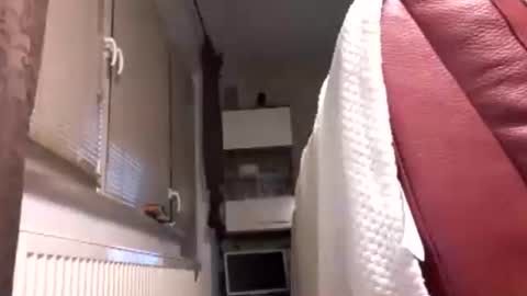 Benutzmich0800 online show from 02-14-26, 02:19