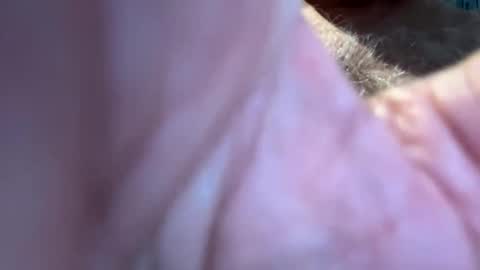 benz10001 online show from 09-13-25, 12:49