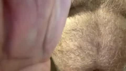 benz10001 online show from 04-14-26, 03:01