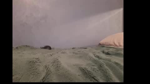 beobenshauna online show from 12-19-24, 10:02