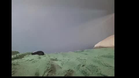 beobenshauna online show from 01-02-25, 10:37