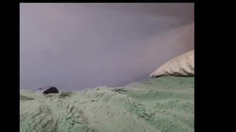 beobenshauna online show from 01-21-25, 05:49