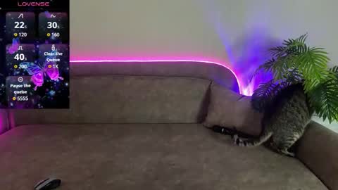 Teya online show from 04-12-26, 03:06