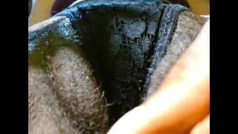 Bethany Wilson online show from 02-21-25, 04:59