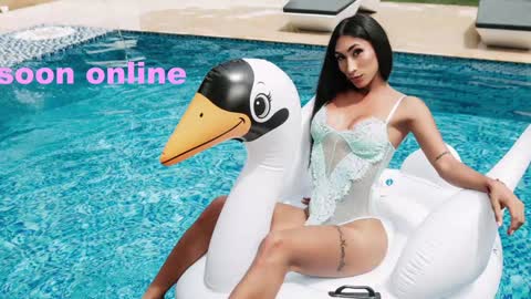 Nicolle Aviles online show from 01-04-25, 08:49