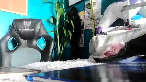 bheb_ji online show from 02-15-26, 06:10