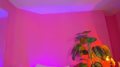 Bianca online show from 12-19-24, 10:02