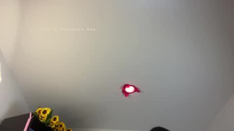 Bianca Mirage online show from 04-07-26, 12:49