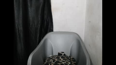 bigassdrip online show from 04-21-26, 07:06