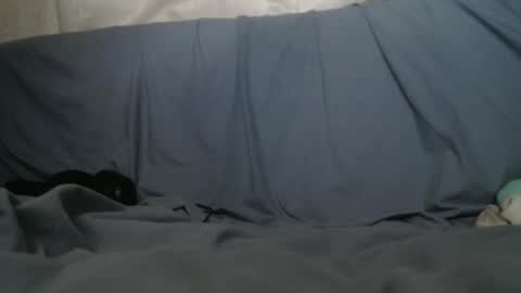 Snapshot of bigausguy chatting on 12-30-24, 07:00 JaymanTHIC online show from 12-30-24, 07:00