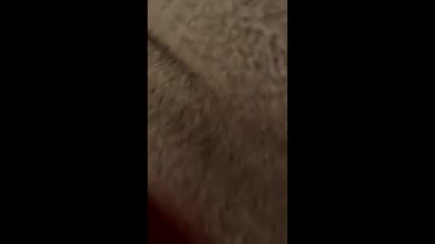 Lolipopped online show from 01-10-25, 11:50