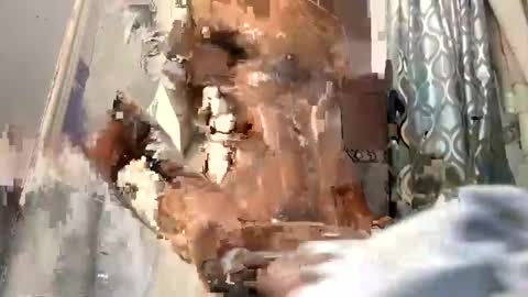 bigblackcockmello online show from 12-19-24, 01:28