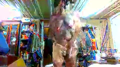 bigboy_604630544 online show from 09-28-25, 01:16
