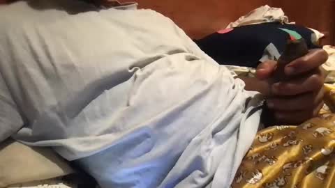 bigbrown_boy online show from 09-21-25, 07:48