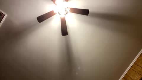 bigcock4yourwetcunt online show from 03-12-25, 04:51