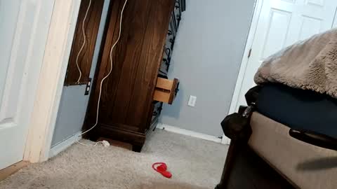 bigcockdaddy247 online show from 12-17-24, 05:07