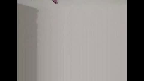 bigd23994 online show from 03-29-26, 07:52