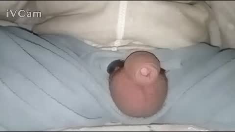 Snapshot of bigdick666cm chatting on 01-30-25, 02:49 Big online show from 01-30-25, 02:49