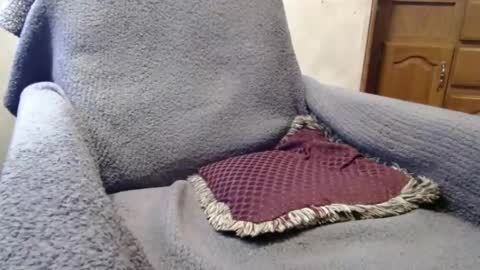 Snapshot of bigdickdaddy567130413 chatting on 12-29-24, 02:42 bigdickdaddy567130413 online show from 12-29-24, 02:42