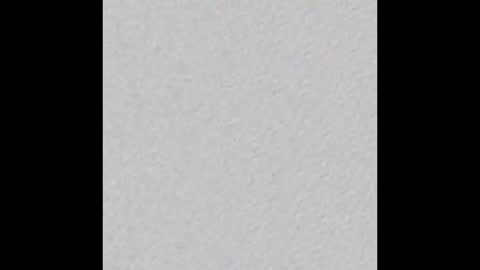 Bullforthecucks online show from 02-15-25, 10:33