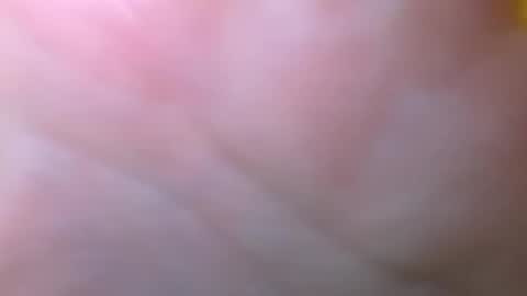 Snapshot of bigdickitalian137 chatting on 09-29-25, 08:35 bigdickitalian137 online show from 09-29-25, 08:35