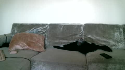 Snapshot of bigdickjimmywill chatting on 02-15-25, 05:39 CAJEinc online show from 02-15-25, 05:39