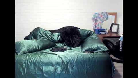 Snapshot of bigdickpiercedtattoos chatting on 10-22-25, 10:15 bigdickpiercedtattoos online show from 10-22-25, 10:15