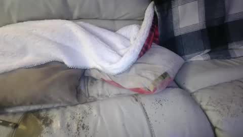 bigdicktrannynicole online show from 01-21-25, 02:11