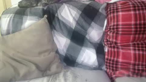 bigdicktrannynicole online show from 01-29-25, 12:56