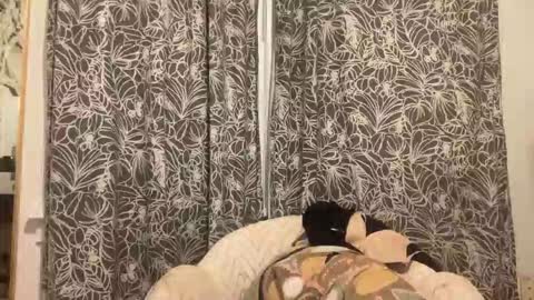 bigdickwalkin online show from 02-15-26, 02:41