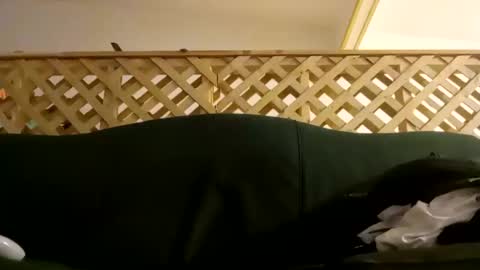 biggestboiiii online show from 01-28-25, 03:04