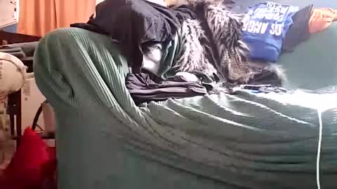 bigmanaround9 online show from 12-11-24, 08:39