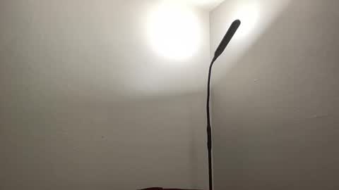 Snapshot of bigmcr1 chatting on 01-26-25, 01:20 Nick Barker online show from 01-26-25, 01:20